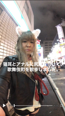 猫耳とアナルに尻尾をつけて歌舞伎町を散歩