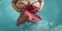 プールで超巨乳の女子大生が水着を脱ぐとすごい