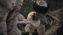 【3Dワールド】2匹のバケモノに捕らわれて2穴ハメ撮り肉便器オナホールにされる美女戦士