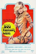 【傑作】アメリカ名作ポルノ　800 ファンタジー・レーン 1979